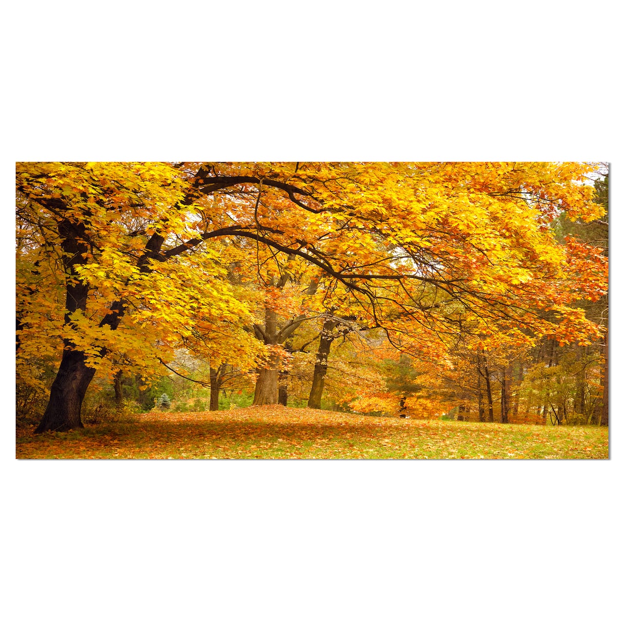 Designart - Golden Autumn Forest - Landscape Photography Canvas Print